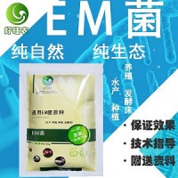 種植EM菌是如何使用的